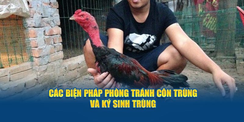 cac-bien-phap-phong-tranh-con-trung-va-ky-sinh-trung