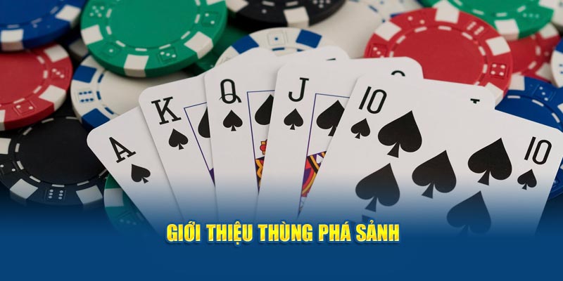 gioi-thieu-thung-pha-sanh